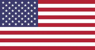 american flag-Hendersonville